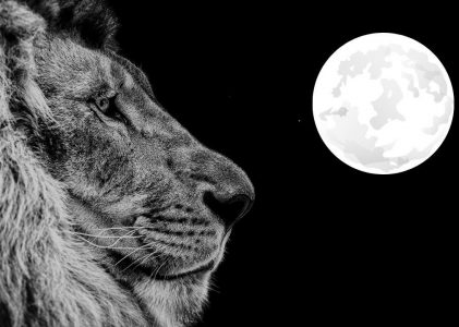 Pleine Lune en Lion du 16 février 2022