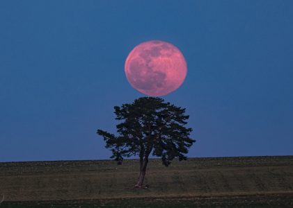Pleine lune en Capricorne du 13 juillet 2022
